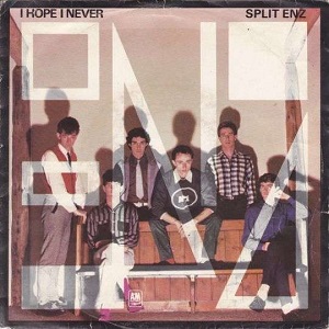 Cover `I Hope I Never` van Split Enz