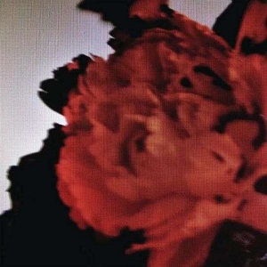 Cover `All Of Me` van John Legend