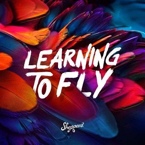 Rivierenland Radio speelt nu `Learning to Fly` van Sheppard