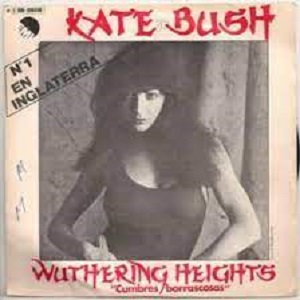 Rivierenland Radio speelt nu `Wuthering Heights` van Kate Bush
