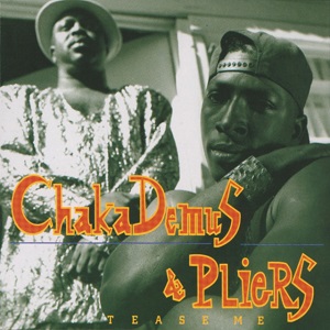Cover `Tease Me` van Chaka Demus & Pliers