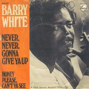 Cover `Never Never Gonna Give You Up` van Barry White