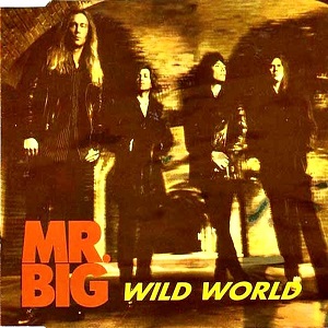 Rivierenland Radio speelt nu `Wild World` van Mr. Big