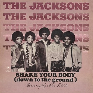 Cover `Shake Your Body (Down To The Ground)` van The Jacksons