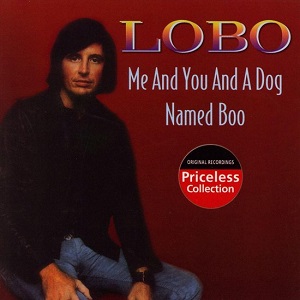 Cover `Me And You And A Dog Named Boo` van Lobo