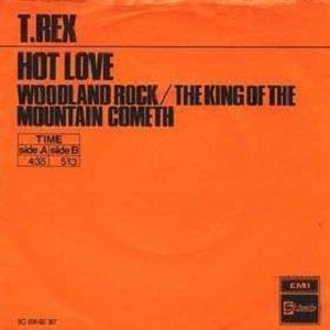 Cover `Hot Love` van T. Rex