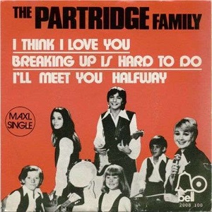 Cover `I Think I Love You` van The Partridge Family
