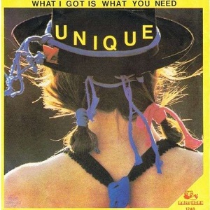 Cover `What I Got Is What You Need (Extended)` van Unique