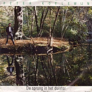 Cover `De Sprong In Het Duister` van Peter Koelewijn