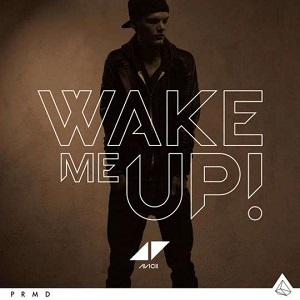 Cover `Wake Me Up` van Avicii Feat. Aloe Blacc