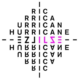 Cover `Hurricane` van Ilse DeLange