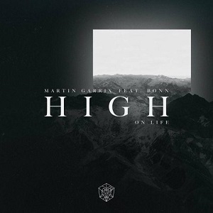 Cover `High On Life` van Martin Garrix Feat. Bonn