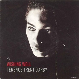 Cover `Wishing Well` van Terence Trent D