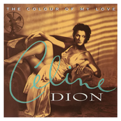 Rivierenland Radio speelt nu `Think Twice` van Celine Dion