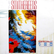 Cover `In A Lonely Place` van Smithereens & Suzanne Vega