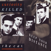 Cover `Ordinary Day` van Curiosity Killed The Cat
