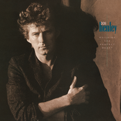 Cover `The Boys Of Summer` van Don Henley