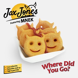Cover `Where Did You Go` van Jax Jones & MNEK