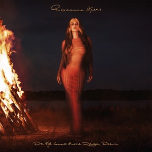 Cover `De Tijd Gaat Mooie Dingen Doen` van Roxeanne Hazes