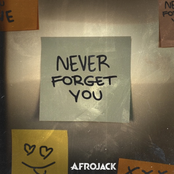 Cover `Never Forget You` van Afrojack