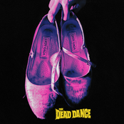 Rivierenland Radio speelt nu `The Dead Dance` van Lady Gaga