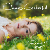 Cover `Chaos Gedoofd` van Roxeanne Hazes