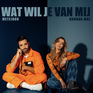 Cover `Nooduitgang` van Metejoor