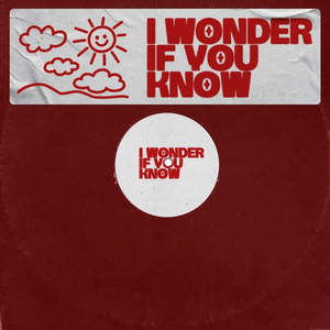 Cover `I Wonder If You Know` van Alok & Something Else