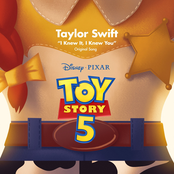Cover `I Knew It, I Knew You` van Taylor Swift
