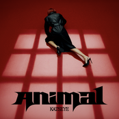 Cover `Animal` van Katseye